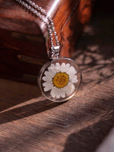Amara - The Eternal Daisy