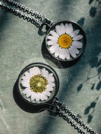 Amara - The Eternal Daisy
