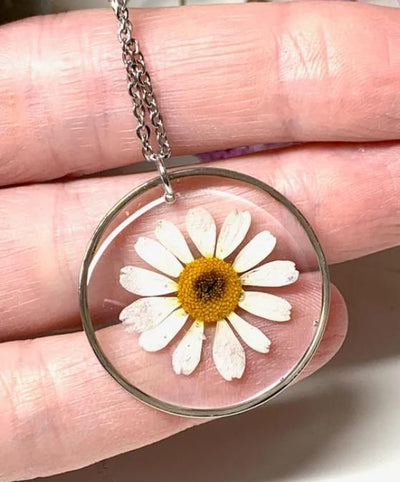 Amara - The Eternal Daisy