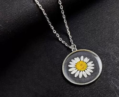 Amara - The Eternal Daisy