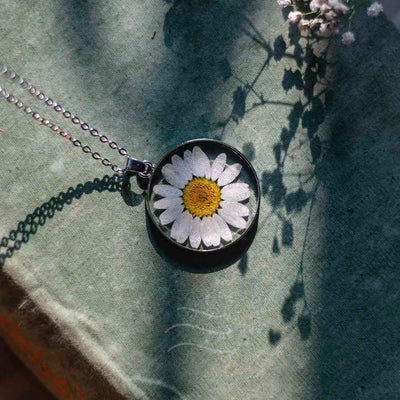 Amara - The Eternal Daisy